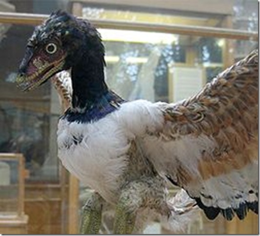 250px-Archaeopteryx-model