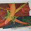 DG1 DSC 0047 web DG1