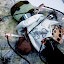 DG1 DSC 0075 web DG1