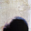  DG1