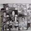 DG2 DSC 0056 DG2
