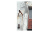 DG1 1 1 Deterioro DG1