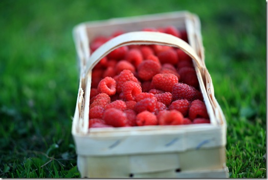 IMG_6055 IMG_6055