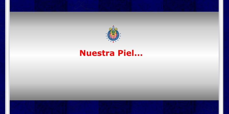 http://lh4.ggpht.com/_Ds4GfHVlW6k/R47Mpy--bbI/AAAAAAAABic/4lOPaEA5Grw/s800/piel.jpg