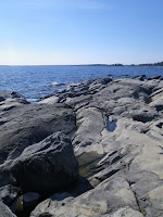 IMGP0016.JPG Photo