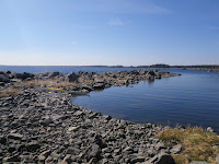 IMGP0006.JPG Photo
