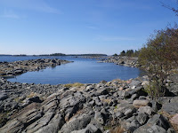 IMGP0008.JPG Photo