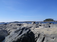IMGP0017.JPG Photo