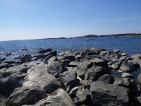 IMGP0027.JPG Photo