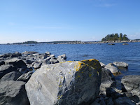 IMGP0032.JPG Photo