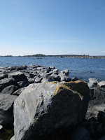 IMGP0033.JPG Photo