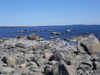 IMGP0049.JPG