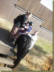Grifyn hippotherapy 007