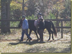Grifyn hippotherapy 010