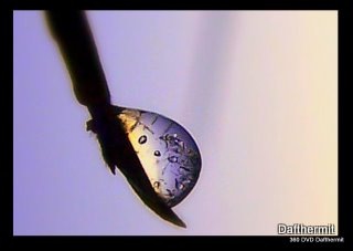 [reflection-5[2].jpg]