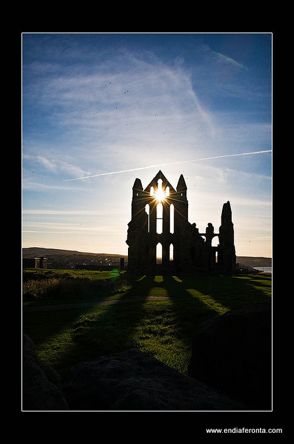 © Neil Mallett 2008