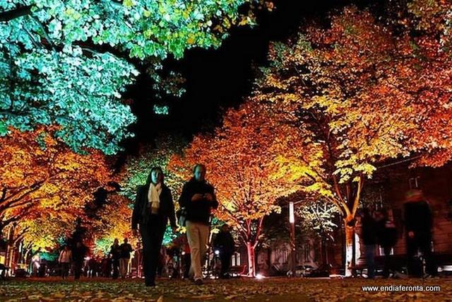 Festival-Lights-Berlin-11.jpg