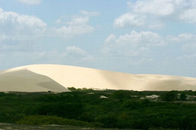 oasi-1.jpg
