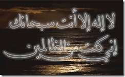 clip_image002