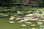 China, Yangshuo 阳朔县 Nanning 南宁 And Back Shanghai Slideshow