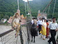 P1000324.JPG