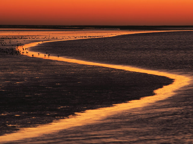 Rivages Wadden%20Island%20Estuary%20at%20Sunset%2C%20The%20Netherlands