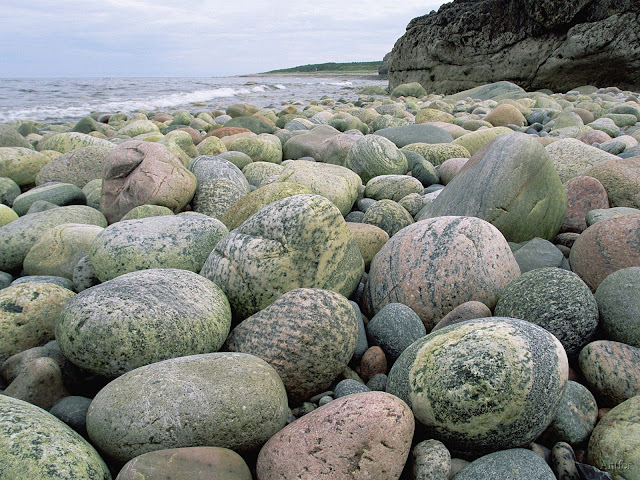 Green%20Point%2C%20Gros%20Morne%20National%20Park%2C%20Newfoundland%2C%20Canada