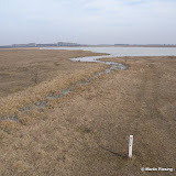 Wörthenlacke early Spring &ndash; 20-Mrz-2010