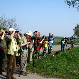 Tour Hanság Birding &ndash; 21-Apr-2009