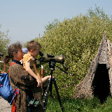 Hanság Birding with kids &ndash; 20-Apr-2009