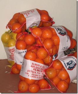 oranges and grapefruit oranges and grapefruit