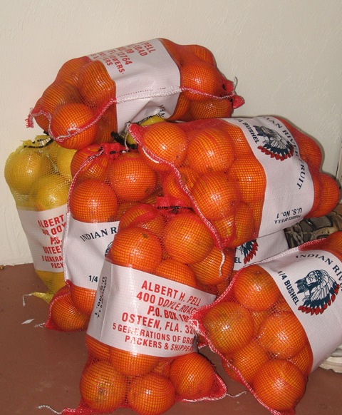 [oranges and grapefruit[4].jpg]