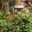 anewgarden