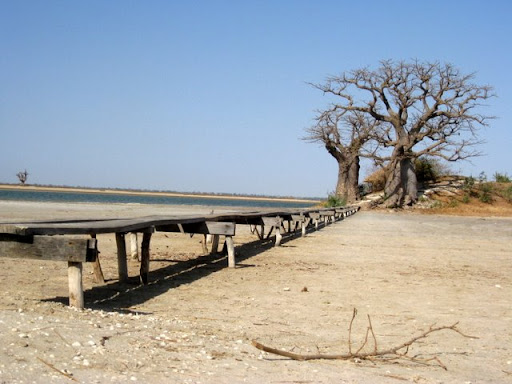 the morning by the pool.