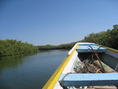 Boat on safari on the Sine River in Senegal