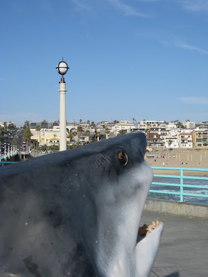 IMG_5621.JPG