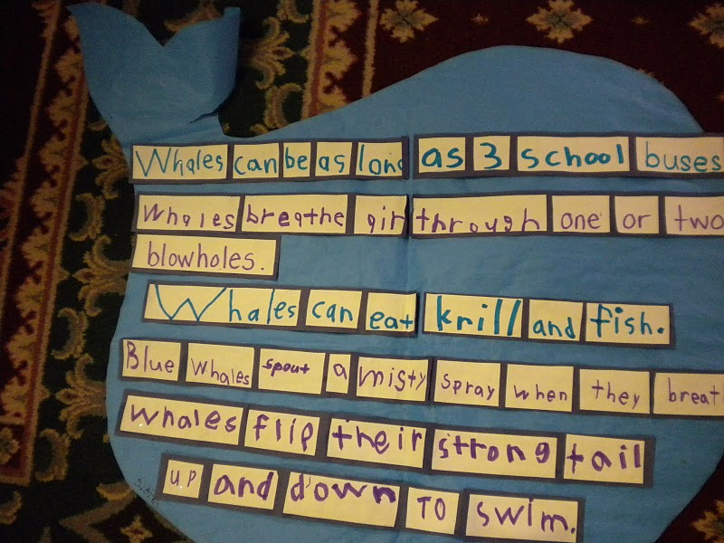 [image[38].png]