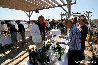 Lunch på taket på Salt o Sill