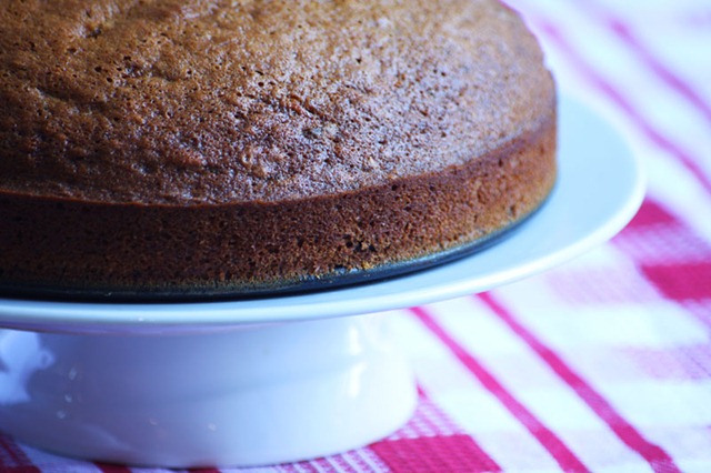 [walnut-date-cake-web-3[3].jpg]