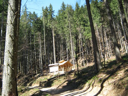 беседка в лесу