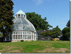 P1020712