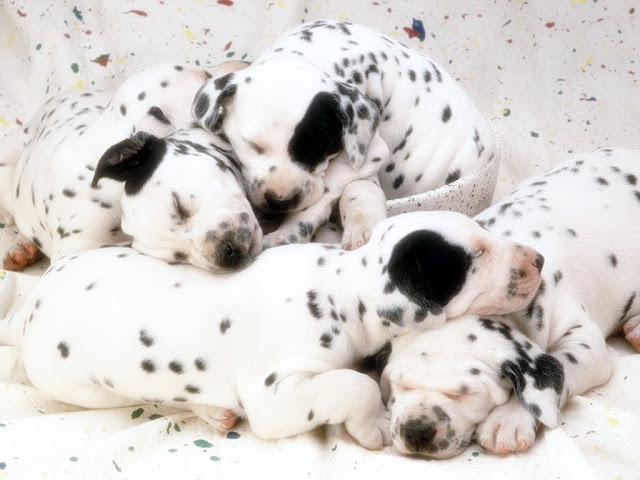 cute