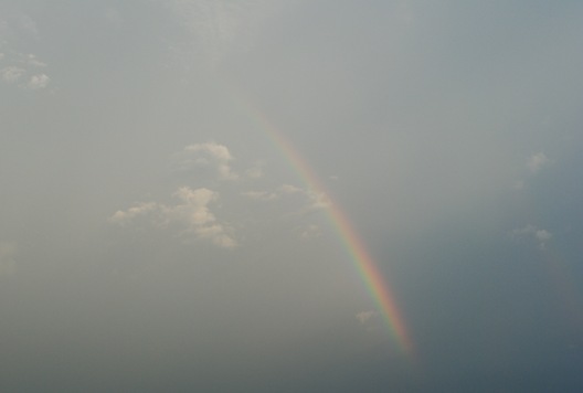 [DSC_01784.jpg]