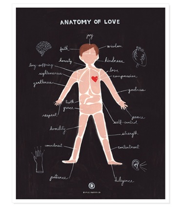 [g_print_anatomy[3].jpg]