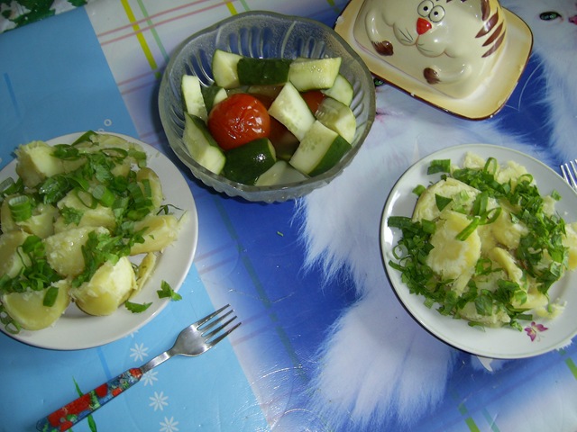 [0196.jpg]