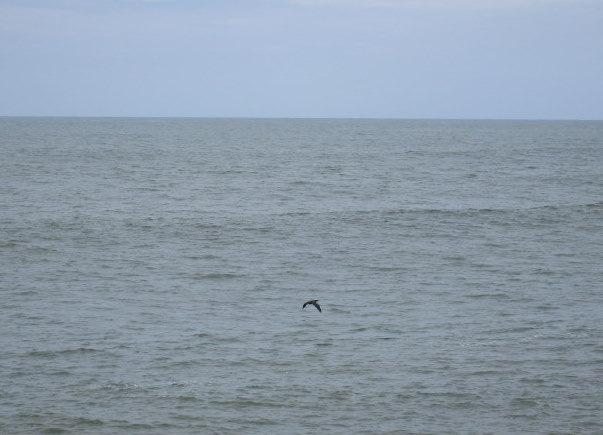 [IMG_2133.jpg]