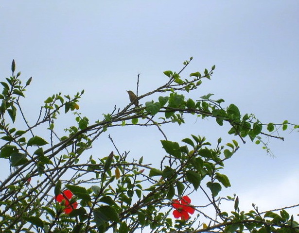 [IMG_21687.jpg]