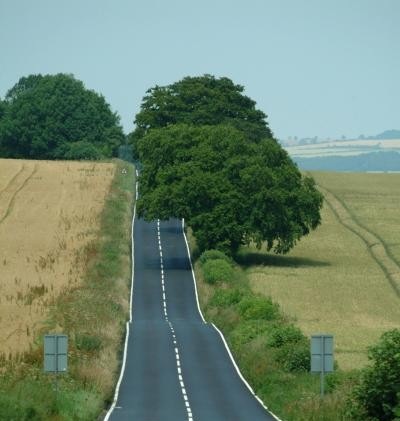 [21_11_79---Country-Road--B3081--Dorset-_web[4].jpg]