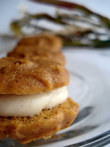 [pumpkinbites2[5].jpg]