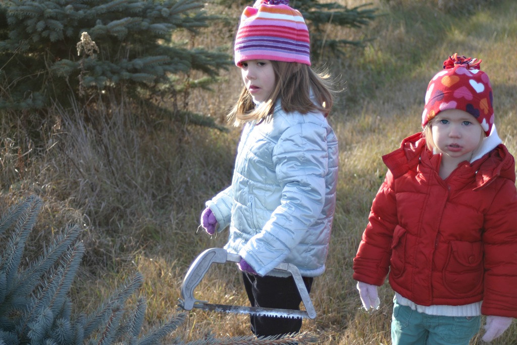[20091127_0805[3].jpg]
